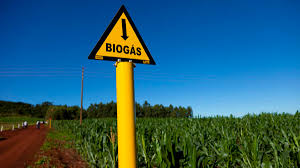 En este momento estás viendo Asociación Mundial del Biogas